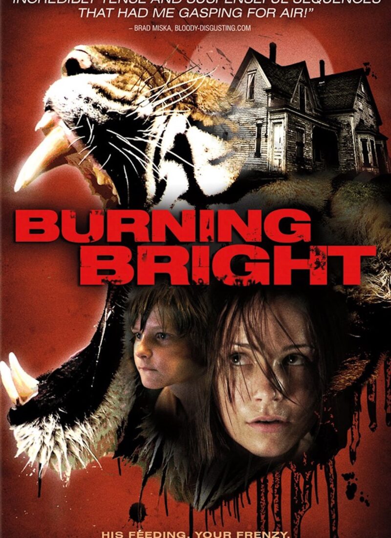 burning bright_{9d2292b5-6a1f-ee11-8299-0e4a64f8a357}